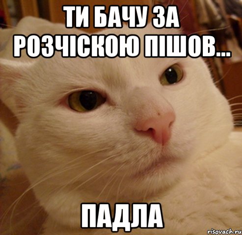 ти бачу за розчіскою пішов... падла