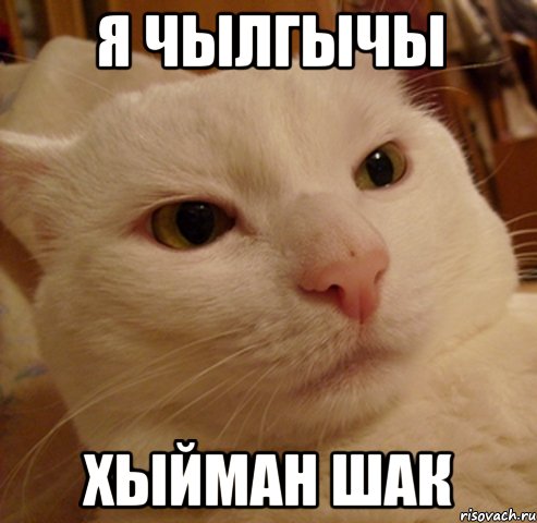 я чылгычы хыйман шак
