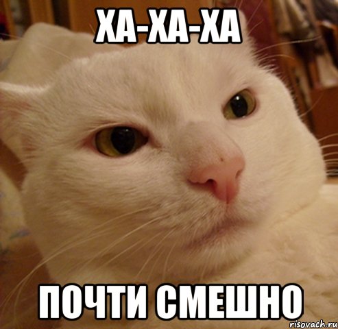 Ха-ха-ха Почти смешно