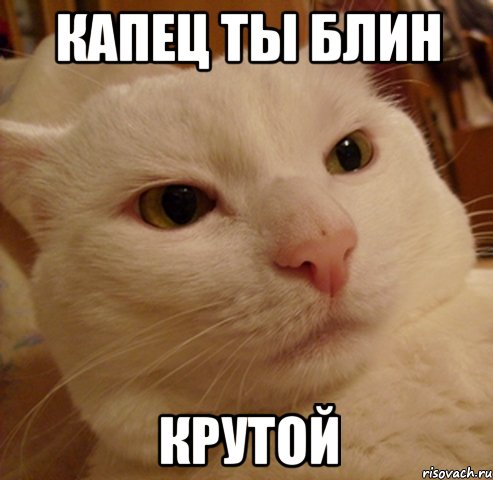 капец ты блин крутой