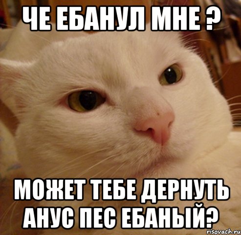 Че ебанул мне ? Может тебе дернуть анус пес ебаный?