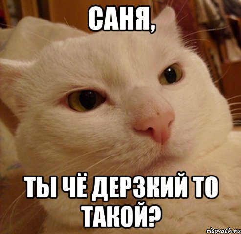 Саня, ты чё дерзкий то такой?