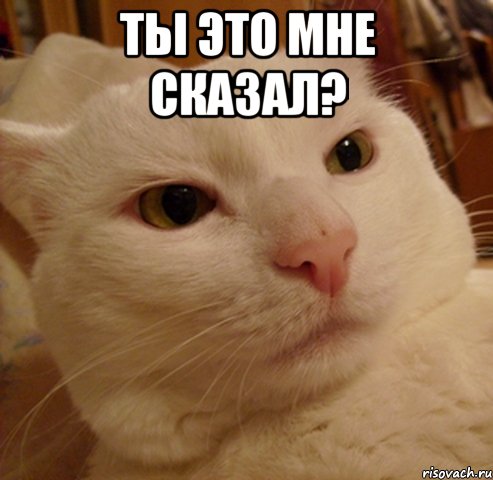 Ты это мне сказал? 