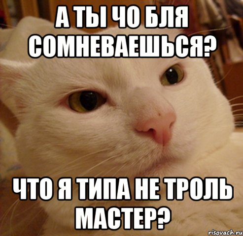 А ТЫ ЧО БЛЯ СОМНЕВАЕШЬСЯ? ЧТО Я ТИПА НЕ ТРОЛЬ МАСТЕР?