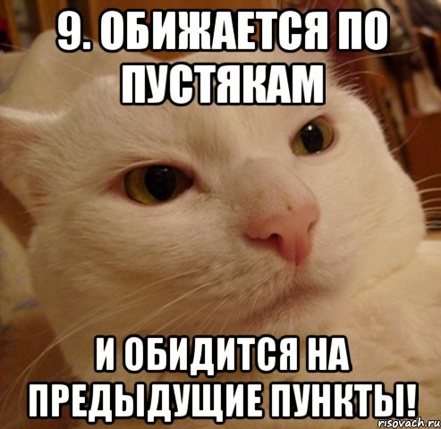 9. Обижается по пустякам И обидится на предыдущие пункты!