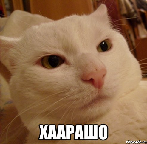  хаарашо