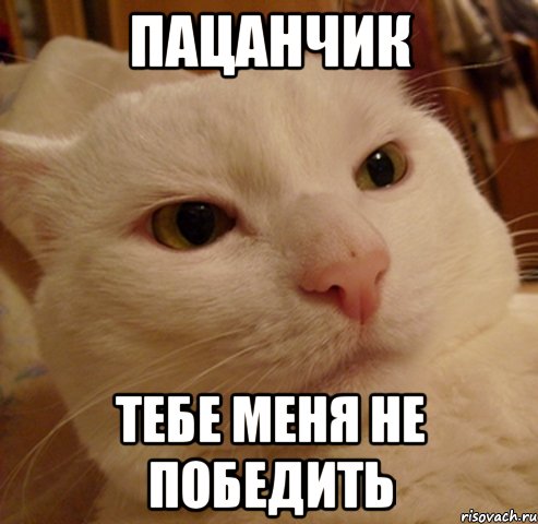 пацанчик тебе меня не победить