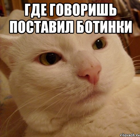 где говоришь поставил ботинки 