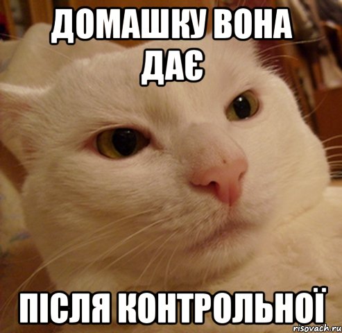 Домашку вона дає після контрольної