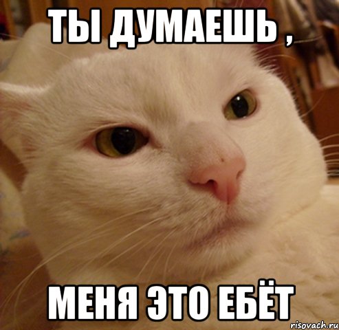 Ты думаешь , Меня это ебёт