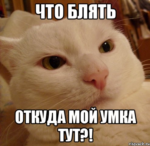 Что блять Откуда мой умка тут?!
