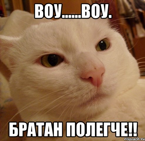 Воу......воу. братан полегче!!