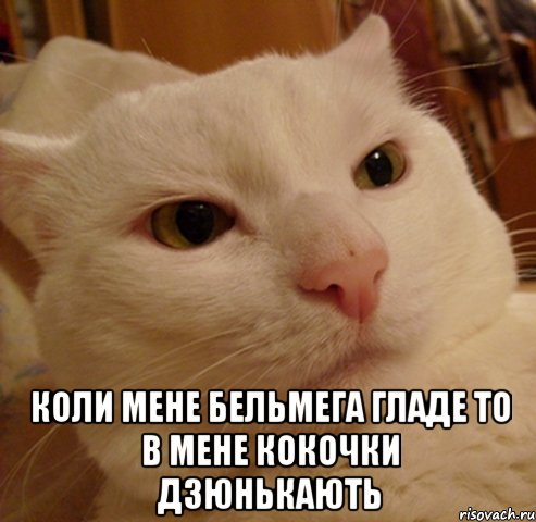 коли мене Бельмега гладе то в мене кокочки дзюнькають