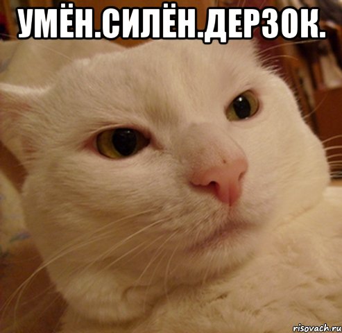 умён.силён.дерзок. 