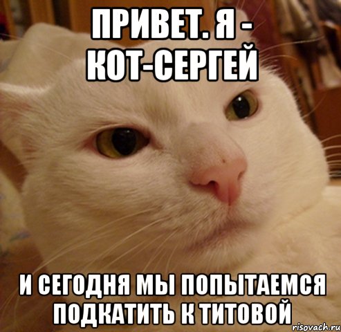 Привет. Я - Кот-Сергей И сегодня мы попытаемся подкатить к Титовой