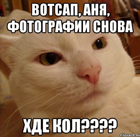 Вотсап, Аня, фотографии снова Хде кол????