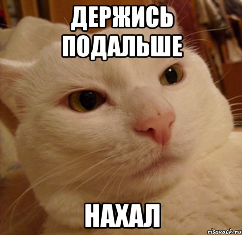 держись подальше нахал
