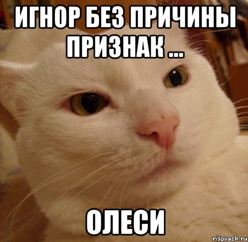 ИГНОР БЕЗ ПРИЧИНЫ ПРИЗНАК ... ОЛЕСИ