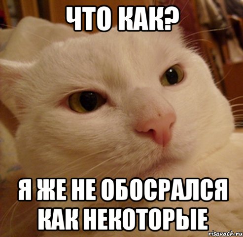 что как? я же не обосрался как некоторые