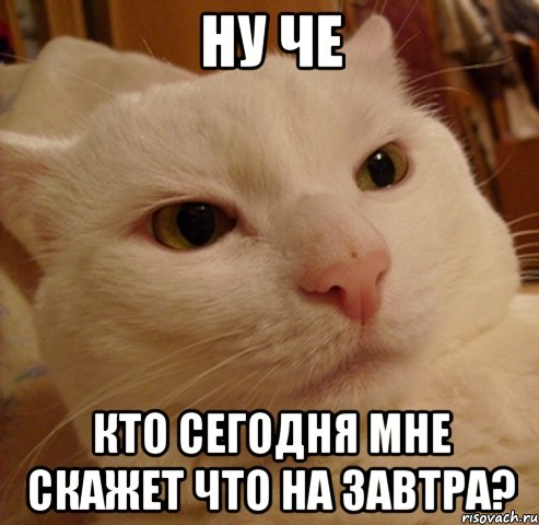 Ну че кто сегодня мне скажет что на завтра?