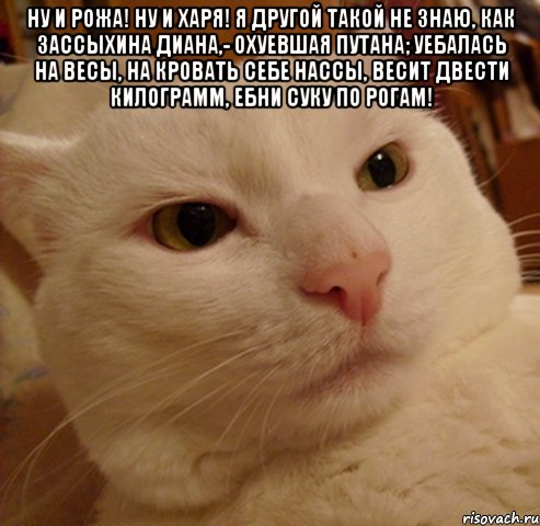 Ну и рожа! Ну и харя! Я другой такой не знаю, Как зассыхина Диана,- Охуевшая путана; Уебалась на весы, На кровать себе нассы, Весит двести килограмм, Ебни суку по рогам! 