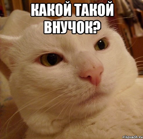 Какой такой внучок? 