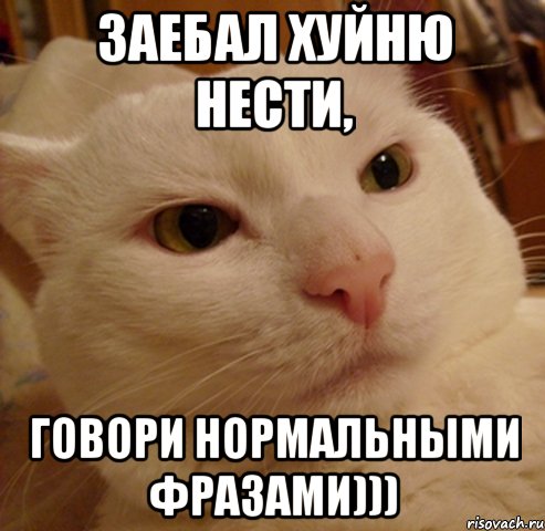 Заебал хуйню нести, говори нормальными фразами)))