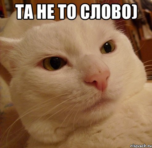 та не то слово) 