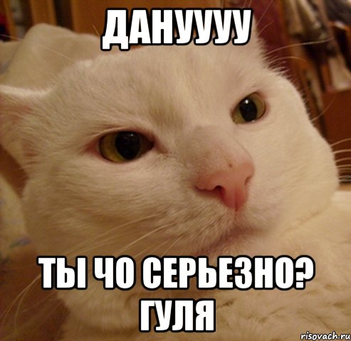 ДАНуууу Ты чо серьезно? Гуля
