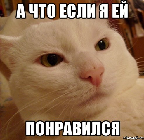 а что если я ей понравился