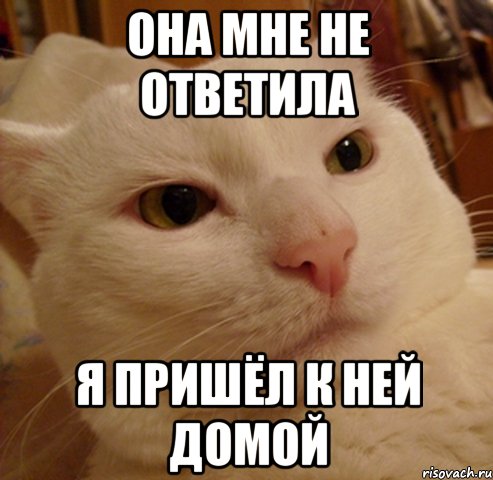 она мне не ответила я пришёл к ней домой
