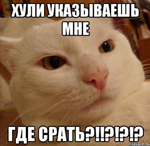 Хули указываешь мне где срать?!!?!?!?