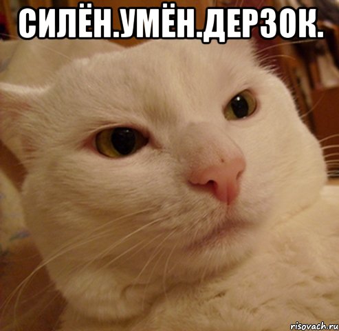 силён.умён.дерзок. 