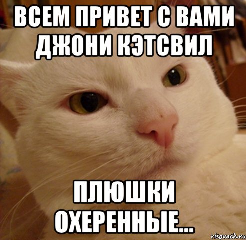 Всем привет с вами Джони Кэтсвил Плюшки охеренные...