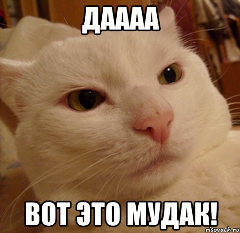 Даааа вот это МУДАК!