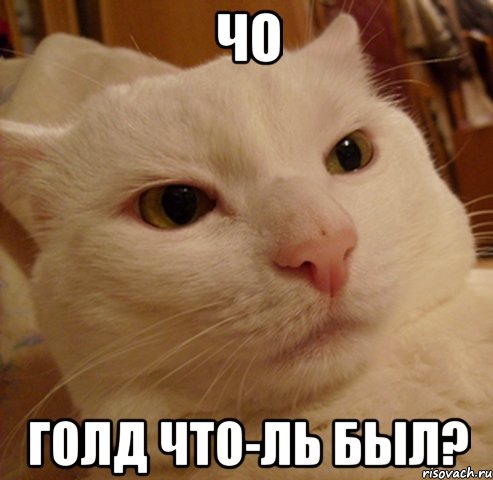 ЧО Голд что-ль был?