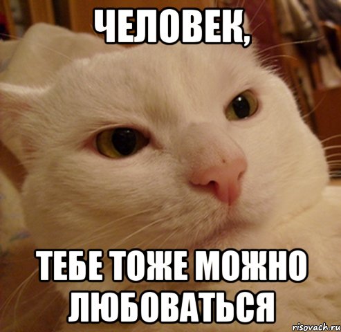Человек, тебе тоже можно любоваться