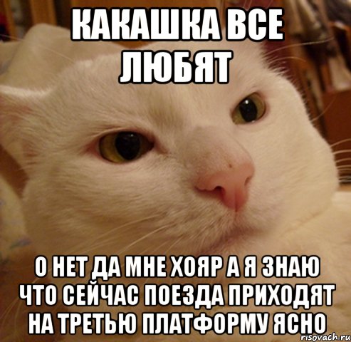 Какашка все любят О нет Да мне Хояр А Я Знаю что сейчас поезда приходят на третью платформу ясно