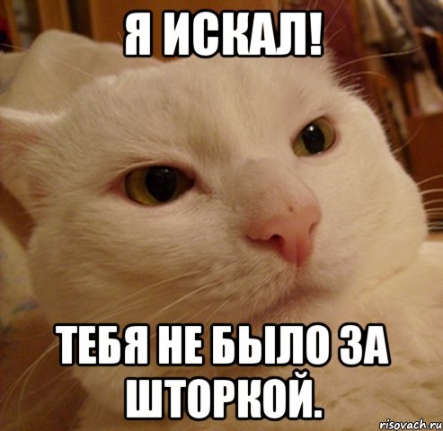 Я искал! Тебя не было за шторкой.