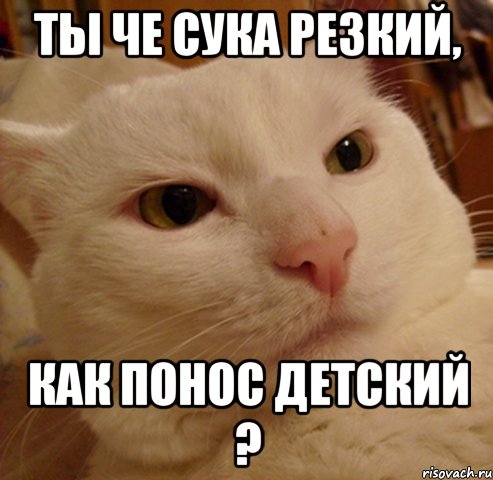 ты че сука резкий, как понос детский ?