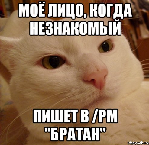 Моё лицо, когда незнакомый Пишет в /pm "Братан"