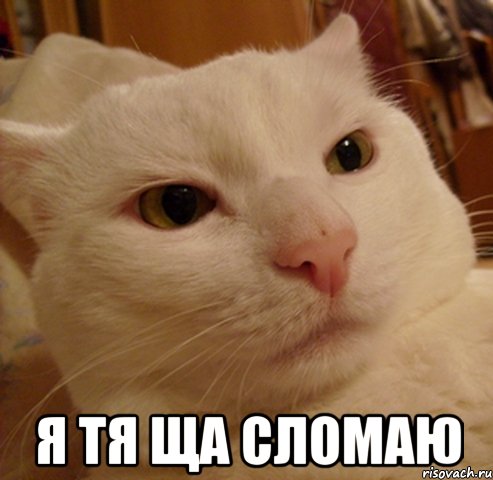  я тя ща сломаю