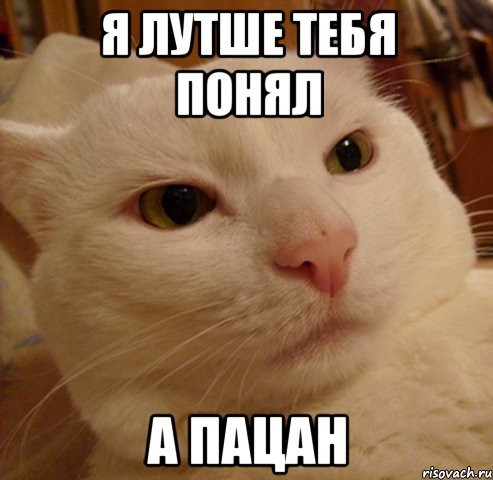 Я ЛУТШЕ ТЕБЯ ПОНЯЛ А ПАЦАН