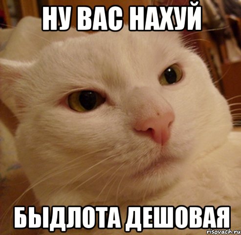 Ну вас нахуй быдлота дешовая