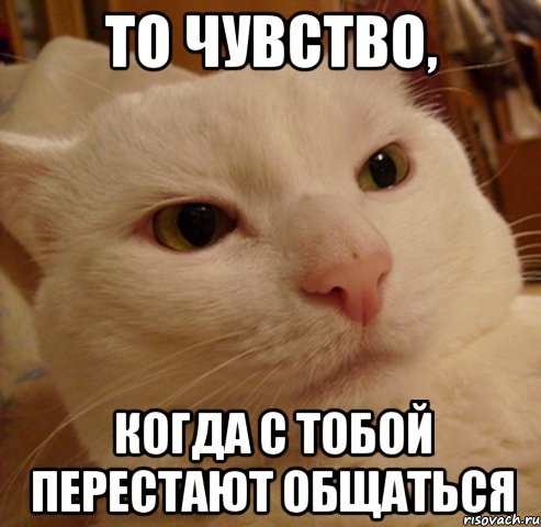 То чувство, когда с тобой перестают общаться
