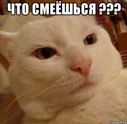 ЧТО смеёшься ??? 
