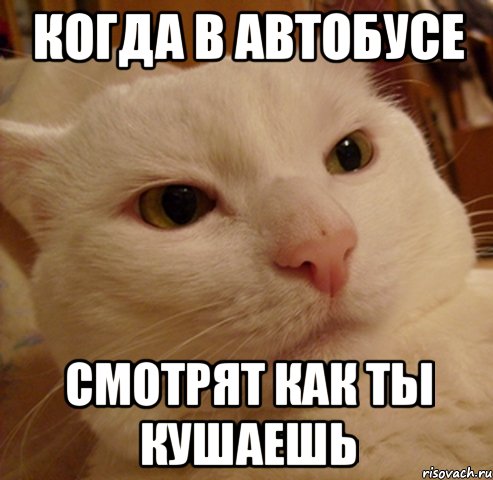 когда в автобусе смотрят как ты кушаешь