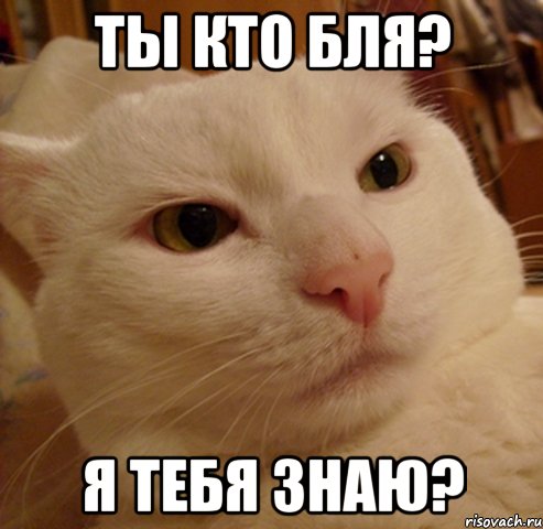 ты кто бля? я тебя знаю?