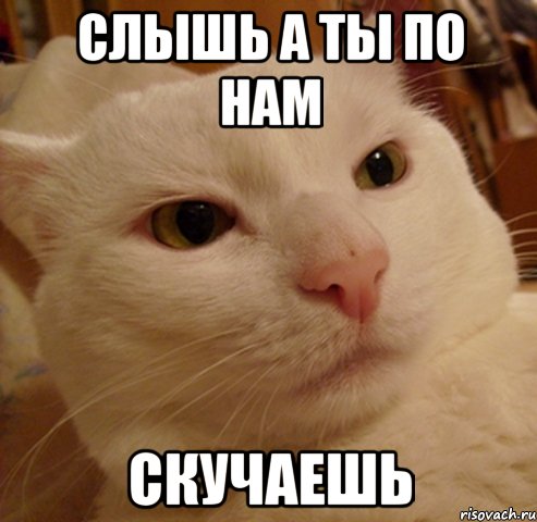 слышь а ты по нам скучаешь