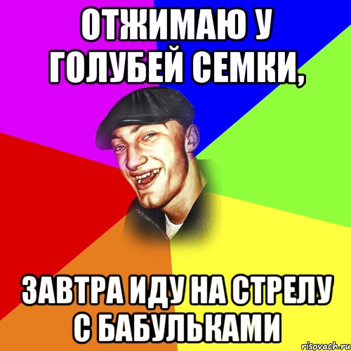 Отжимаю у голубей семки, Завтра иду на стрелу с бабульками, Мем ДЕРЗКИЙ БЫДЛОМЁТ